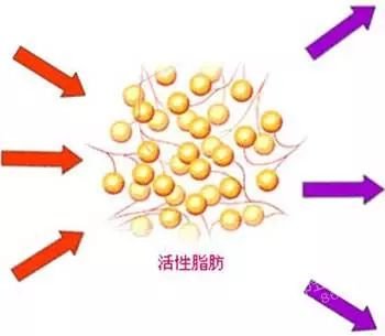 案例图片