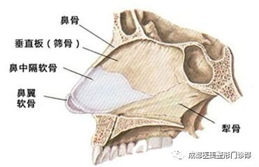 https://img.miyanlife.com/mnt/timg/180709/11331030Y-9.jpg