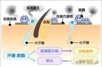 案例图片