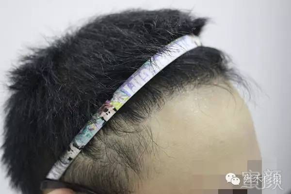 https://img.miyanlife.com/mnt/timg/180709/1211114M9-6.jpg