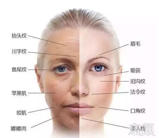 https://img.miyanlife.com/mnt/timg/180709/1252352502-3.jpg