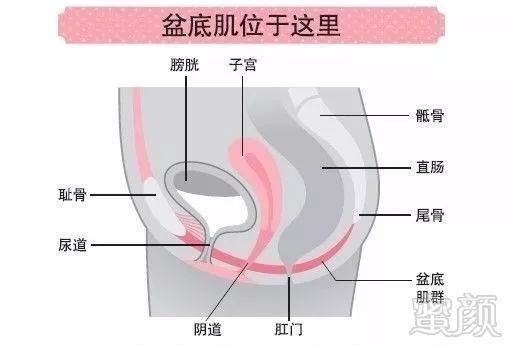 案例图片