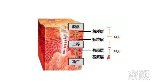 案例图片