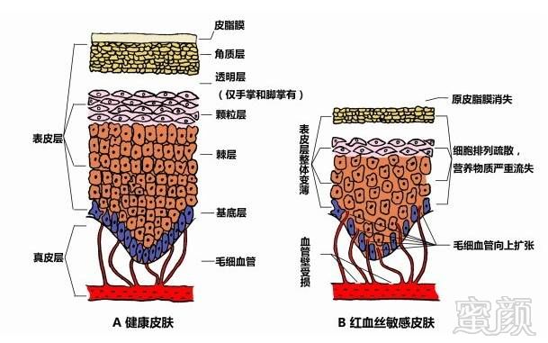 案例图片