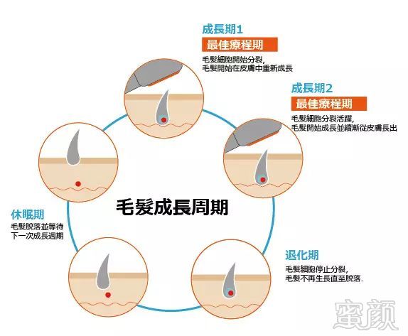 https://img.miyanlife.com/mnt/timg/180713/124S120G-12.jpg