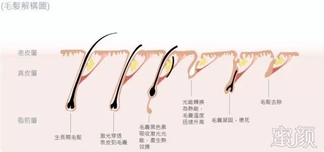 https://img.miyanlife.com/mnt/timg/180713/124S1O33-7.jpg
