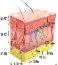 案例图片