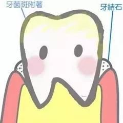 https://img.miyanlife.com/mnt/timg/180717/11455532N-9.jpg