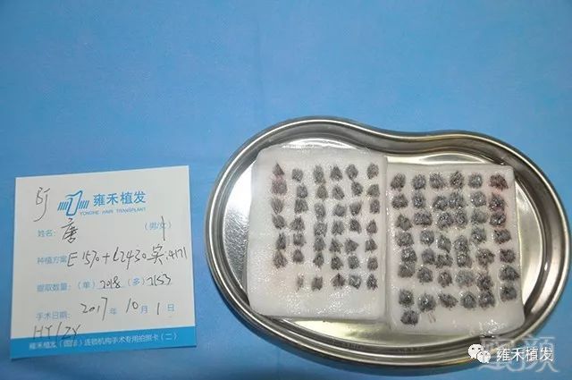 https://img.miyanlife.com/mnt/timg/180718/12244160N-6.jpg