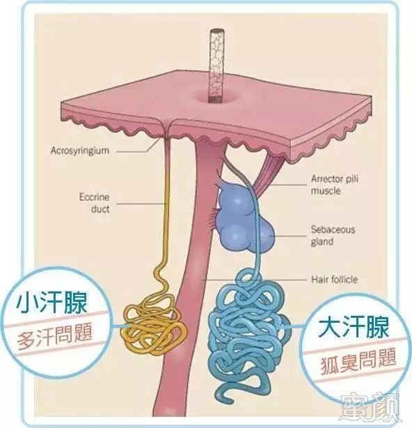 案例图片