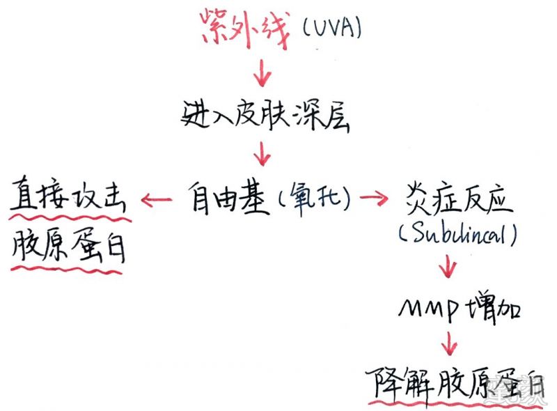 案例图片