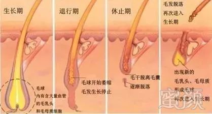 https://img.miyanlife.com/mnt/timg/180720/113HW360-1.jpg