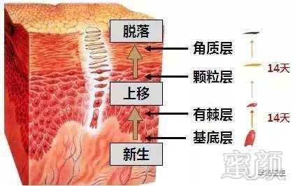 https://img.miyanlife.com/mnt/timg/180720/113K25M8-1.jpg