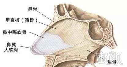 https://img.miyanlife.com/mnt/timg/180720/11404953Q-5.jpg