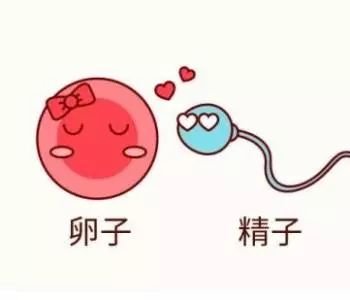 https://img.miyanlife.com/mnt/timg/180720/11494245J-0.jpg