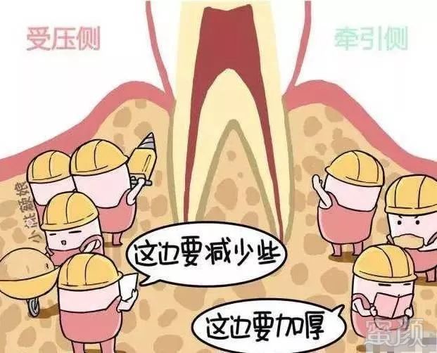 https://img.miyanlife.com/mnt/timg/180721/1101011M5-7.jpg