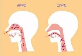 https://img.miyanlife.com/mnt/timg/180721/1101013S5-6.jpg