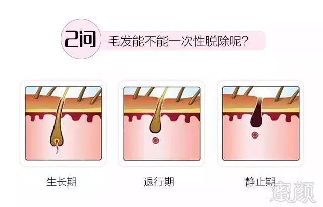 https://img.miyanlife.com/mnt/timg/180721/121J95420-2.jpg