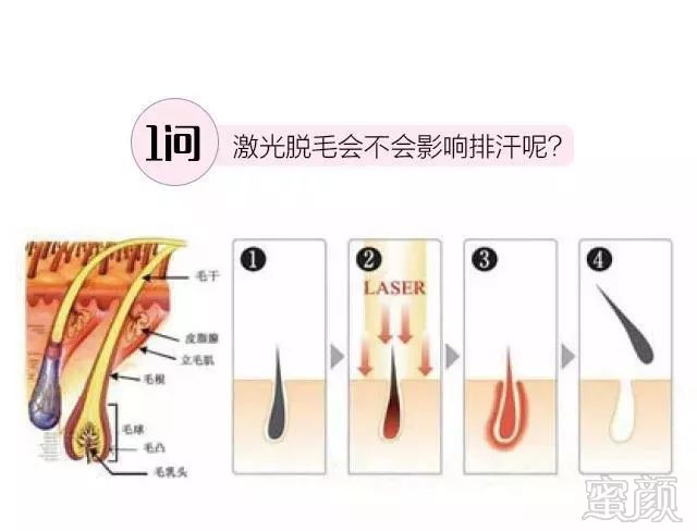 https://img.miyanlife.com/mnt/timg/180721/121JT910-1.jpg