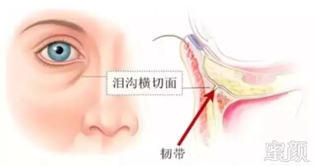 https://img.miyanlife.com/mnt/timg/180722/113253K02-3.jpg