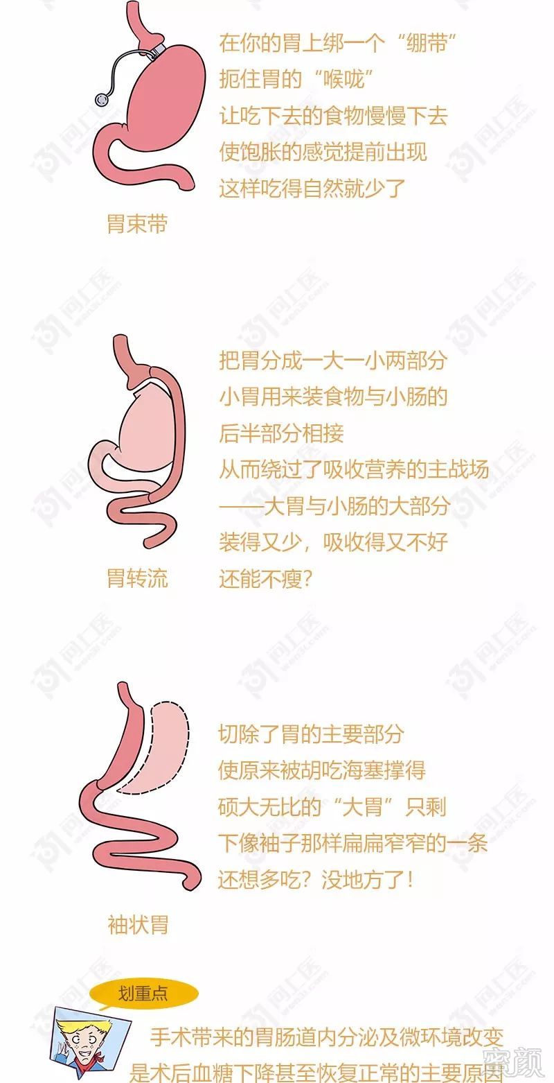 https://img.miyanlife.com/mnt/timg/180722/1140322262-11.jpg