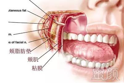 https://img.miyanlife.com/mnt/timg/180722/124S9C37-0.jpg
