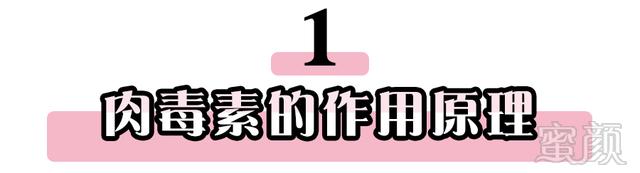 https://img.miyanlife.com/mnt/timg/180722/12553055D-4.jpg
