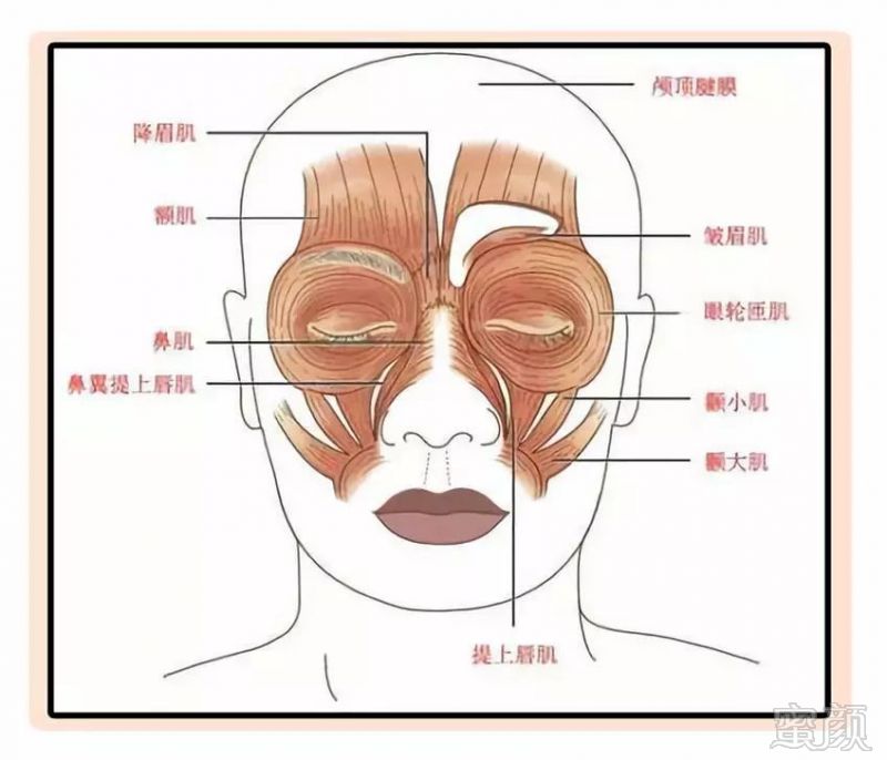 https://img.miyanlife.com/mnt/timg/180722/1255341L4-14.jpg