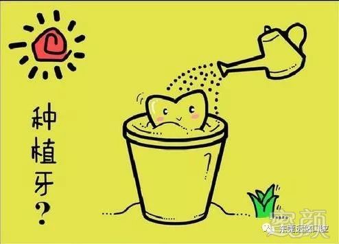 https://img.miyanlife.com/mnt/timg/180722/13442AD7-0.jpg