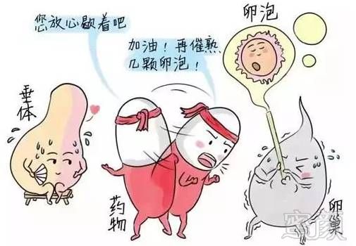 https://img.miyanlife.com/mnt/timg/180723/11293L4G-1.jpg