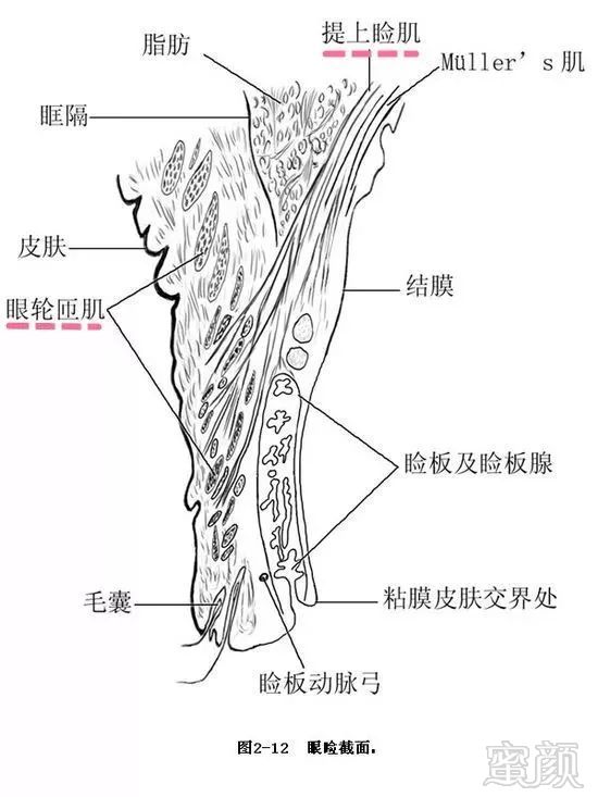 案例图片