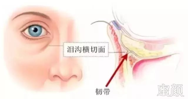 https://img.miyanlife.com/mnt/timg/180724/115521O41-3.jpg
