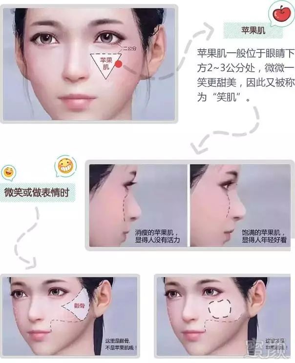 https://img.miyanlife.com/mnt/timg/180724/120000G59-4.jpg