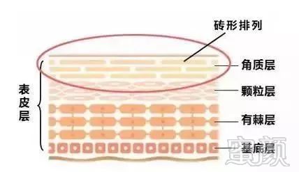 案例图片