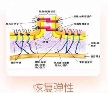 案例图片