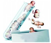 https://img.miyanlife.com/mnt/timg/180724/1239453149-9.jpg