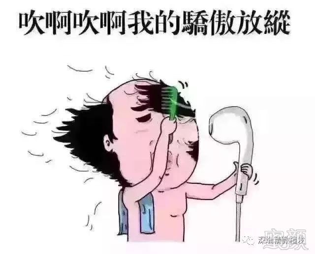 案例图片