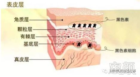 案例图片