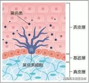 案例图片