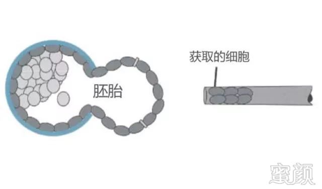 https://img.miyanlife.com/mnt/timg/180725/1320011400-4.jpg