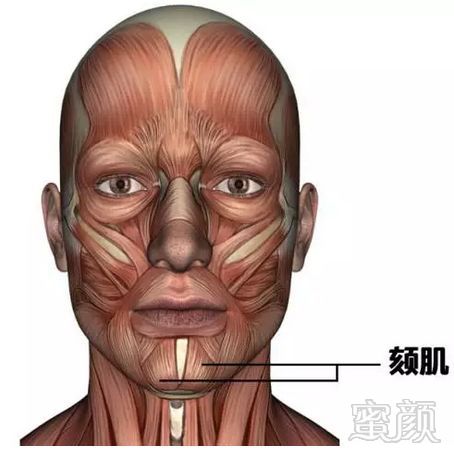 https://img.miyanlife.com/mnt/timg/180727/114614Ha-1.jpg