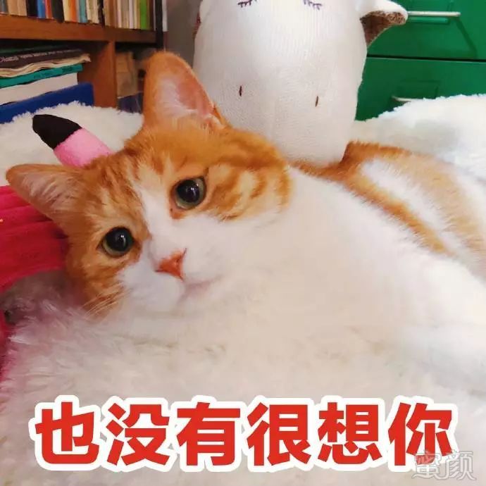 https://img.miyanlife.com/mnt/timg/180727/11534QY2-5.jpg