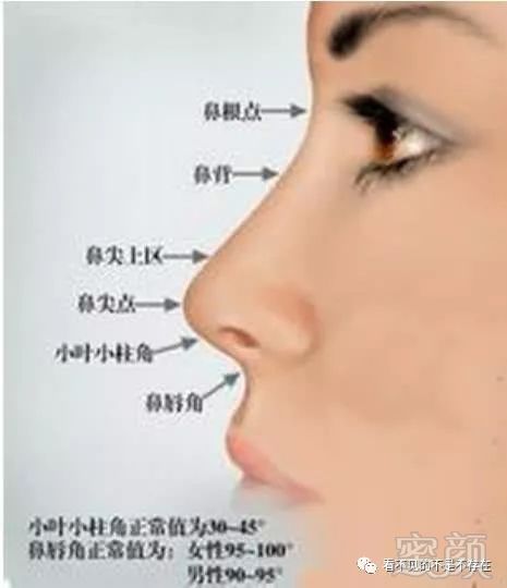 https://img.miyanlife.com/mnt/timg/180727/11541B213-12.jpg