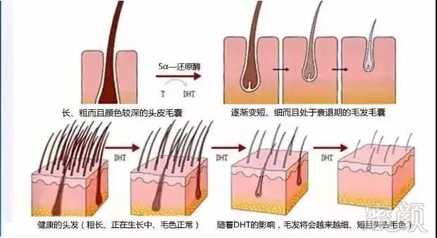 案例图片