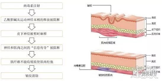 https://img.miyanlife.com/mnt/timg/180728/1029363W6-0.jpg