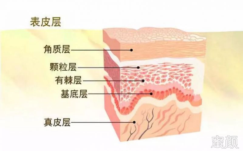 https://img.miyanlife.com/mnt/timg/180728/1131004S8-2.jpg