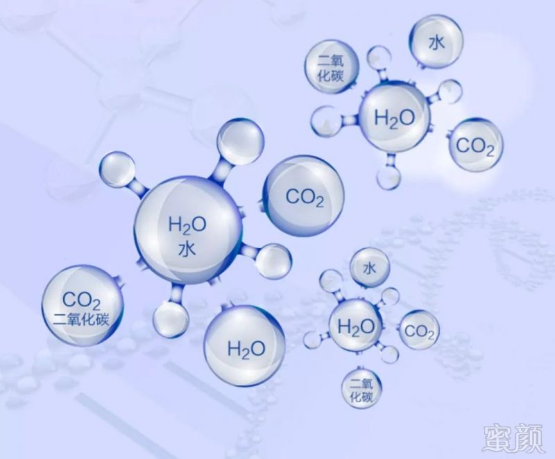 https://img.miyanlife.com/mnt/timg/180729/1211235606-4.jpg