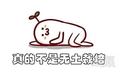 https://img.miyanlife.com/mnt/timg/180729/1221533J4-3.jpg
