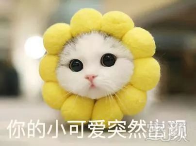 https://img.miyanlife.com/mnt/timg/180729/122G92939-0.jpg