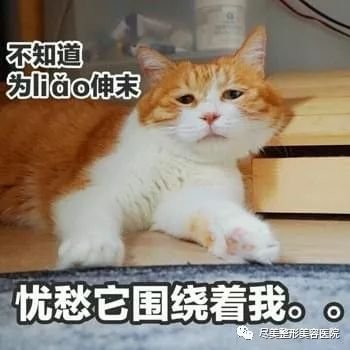 https://img.miyanlife.com/mnt/timg/180730/11264555Z-12.jpg